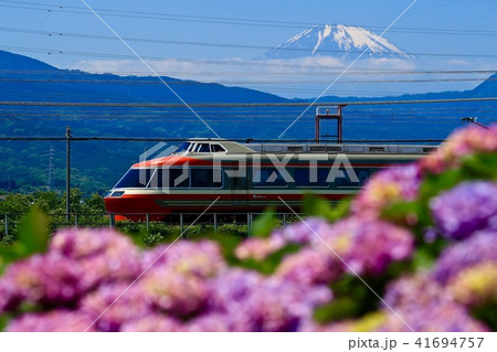 アジサイとロマンスカー 41694757