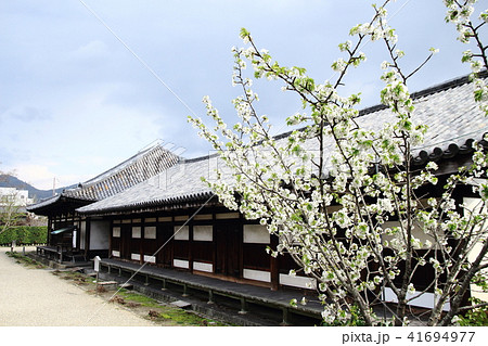 極楽坊禅室、元興寺、真言律宗、国宝 極楽坊禅室、元興寺、真言律宗、国宝 41694977