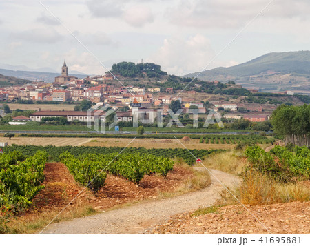 Vineyard on the slope of Alto de la Grajera Vineyard on the slope of Alto de la Grajera 41695881