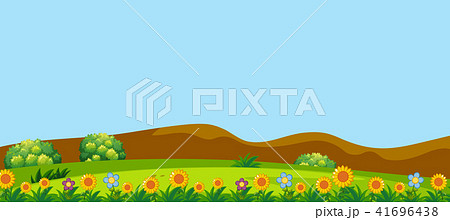 A Beautiful Flowers Hills Landscape 41696438