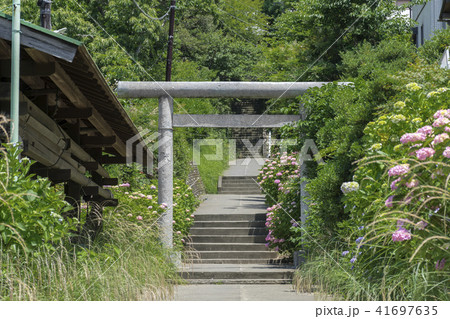 白山神社と今泉寺の参道（鎌倉市今泉） 41697635