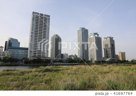 横浜 横浜 41697764
