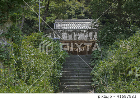 白山神社の参道と本殿(鎌倉市今泉) 白山神社の参道と本殿(鎌倉市今泉) 41697933