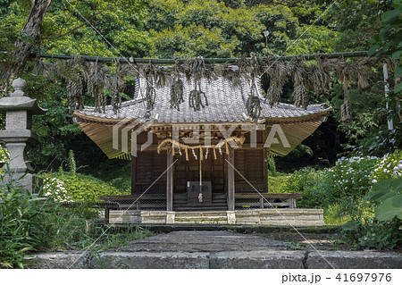 白山神社の本殿（鎌倉市今泉） 41697976