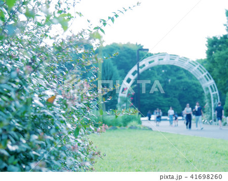 初夏の代々木公園 41698260