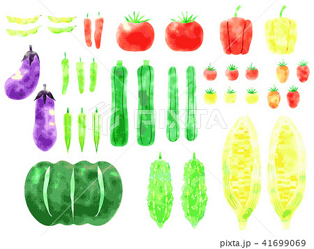 夏野菜のイラストのイラスト素材