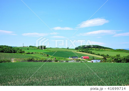 畑作風景 背景素材 畑作風景 背景素材 41699714