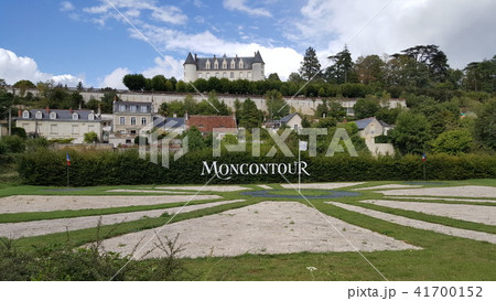 フランス　ロアール地方　トゥールのワイン畑 41700152