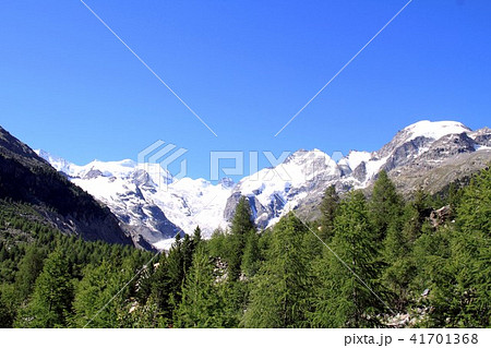 ベルニナ連峰(スイス) ベルニナ連峰(スイス) 41701368