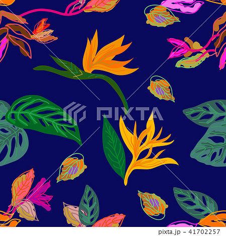 Tropical rainforest palette. 41702257