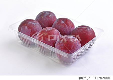 スモモ(菅野中生) スモモ(菅野中生) 41702666