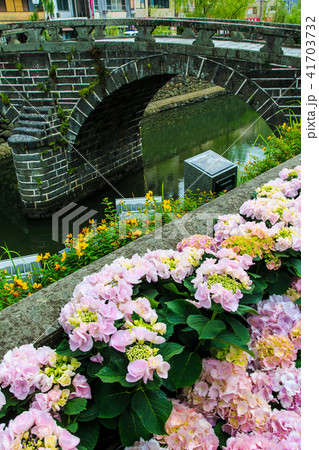 ながさき紫陽花まつり　眼鏡橋　【長崎県長崎市】 41703732