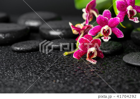 spa still life of zen stones, orchid spa still life of zen stones, orchid 41704292