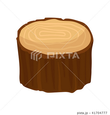Brown stump of old dry tree with annual growth rings. Natural forest element. Organic wooden 41704777
