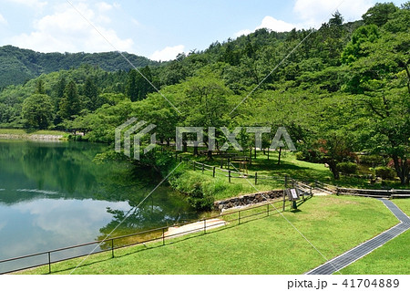 新緑の丹波ささやま 新緑の丹波ささやま 41704889