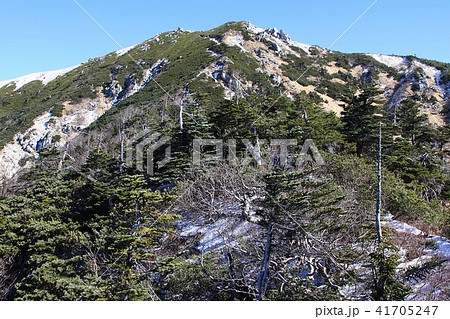 越百山 越百山 41705247