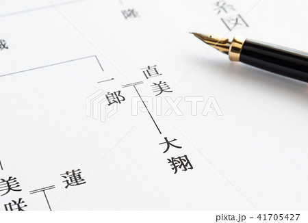 家系図　一人っ子　少子　ルーツ　戸籍 41705427