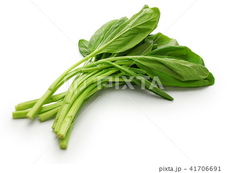 菜心 41706691