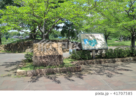 大百池公園(千葉市緑区) 41707585