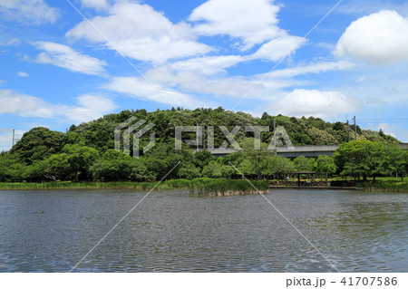 大百池公園(千葉市緑区) 41707586