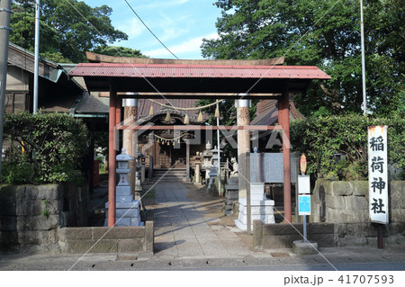 稲荷神社(千葉市中央区稲荷町） 41707593