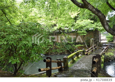 庭園 庭園 41708839