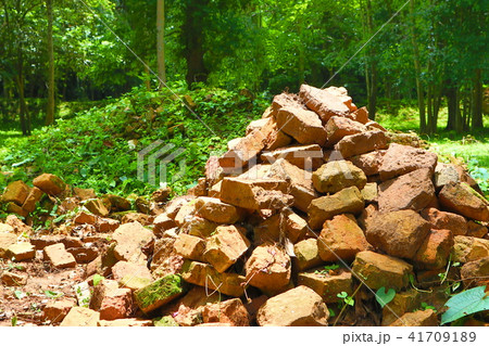 カンボジアの世界遺産　サンボープレイクック 41709189