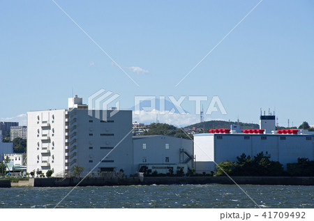 八景島の海辺の建物 41709492