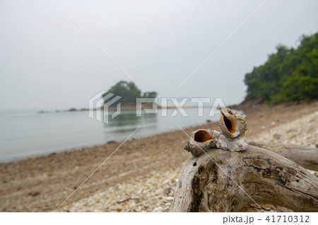 風景 自然 韓国 41710312