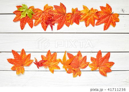 Autumn Thanksgiving Background Autumn Thanksgiving Background 41711236