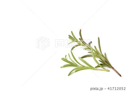 Fresh rosemary isolated on a white background 41712052