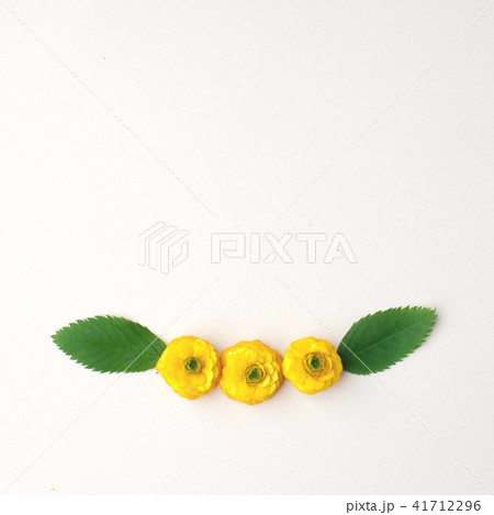 Border frame with yellow flower buds and green lea 41712296