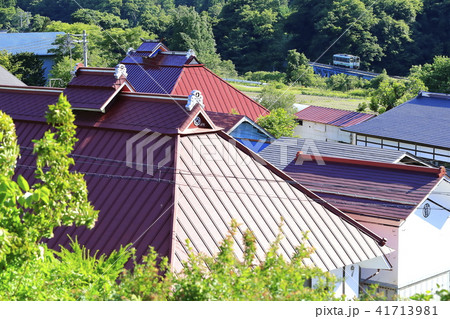 新緑の会津鉄道 41713981