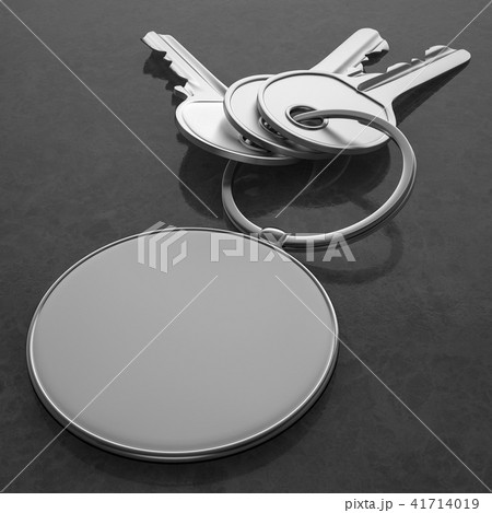 Keys with blank pendant 41714019