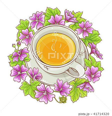 malva tea illustration malva tea illustration 41714320