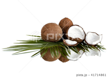 group of coconut 41714861