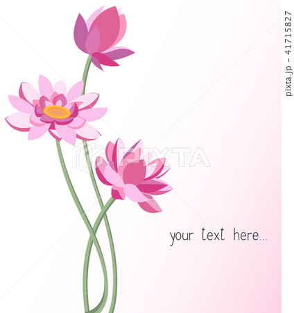 lotus flowers. Graphic modern illustration.  41715827