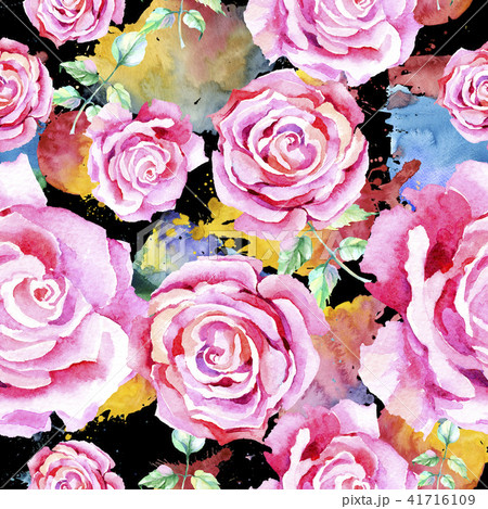 Delicate pink rose. Floral botanical flower.Seamless background pattern. 41716109