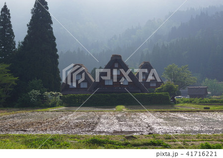 3連の合掌造りの家 3連の合掌造りの家 41716221