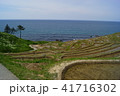 石川県の白米千枚田 石川県の白米千枚田 41716302