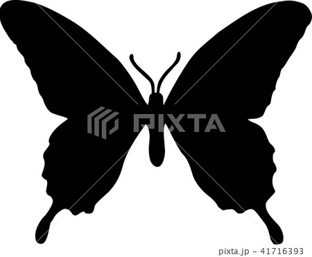 Real Butterfly Silhouette 41716393
