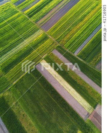 View on the field from air 41716905