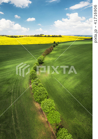 View on the field from air View on the field from air 41716906