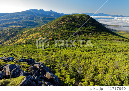 北八ヶ岳・縞枯山から見る茶臼山・八ヶ岳主峰と南アルプス 41717040