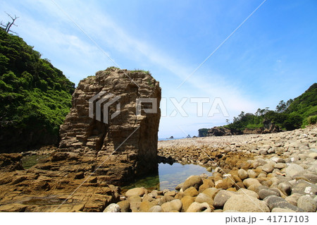 浮島海岸（西伊豆） 41717103