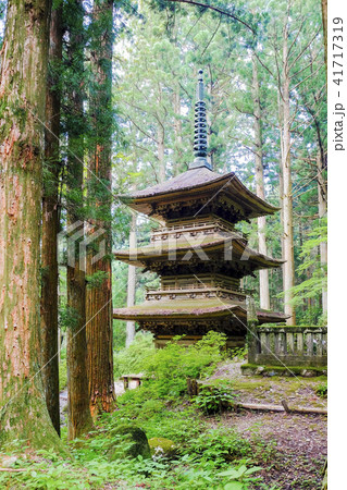 巨杉と三重塔(縦) 巨杉と三重塔(縦) 41717319