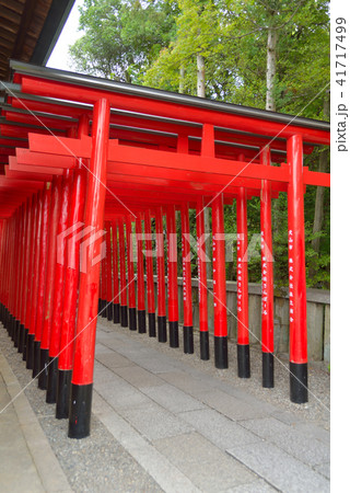三光稲荷神社 三光稲荷神社 41717499