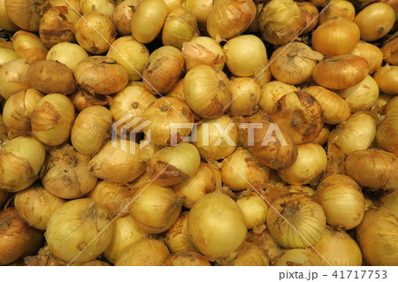 玉ねぎ 玉ねぎ 41717753