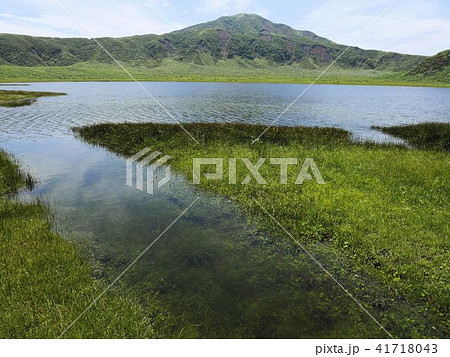阿蘇　草千里ヶ浜　透き通った地下水の池 41718043