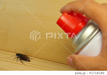 ゴキブリと殺虫剤 41718180